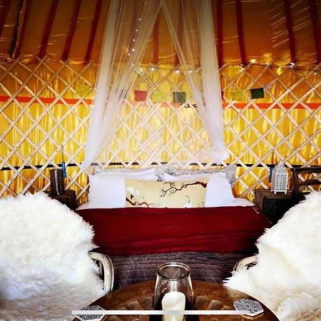 Traditional Yurt @ Longleat ワーミンスター エクステリア 写真